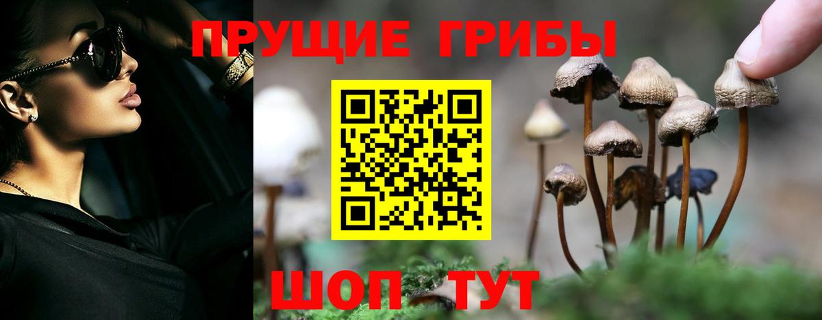 Новочеркасск  Псилоцибиновые грибы ЛСД  Вход с VPN 